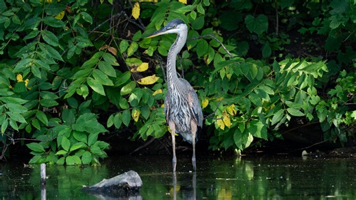 It's time to give Milwaukee parks the funding stability they deserve | Opinion