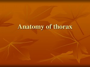 Anatomy of thorax - SlideServe