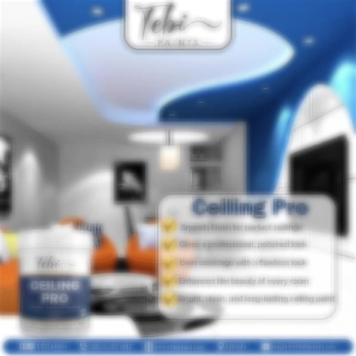 Ceiling Pro