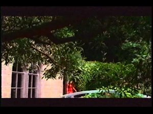 Rachel Lampa I live for You