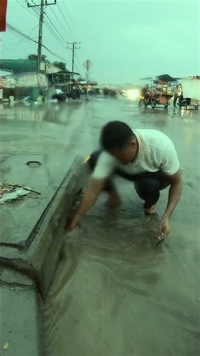 Remove Plastic Clogged Culvert After Rain #unclog #drain #clean #shorts