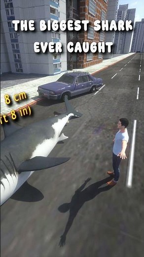 The Biggest Shark Ever Caught | 3D Comparison