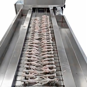 [Hot Item] Abattoir Equipment 500bph-13000bph High-Performance Feet Cutter Poultry Foot Slicing Machine Electric Poultry Cutter