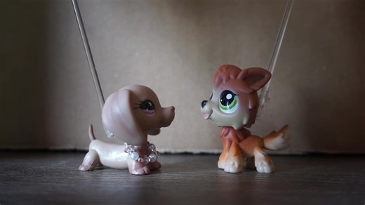 LPS Magic Born Epsiode 5 (Part 2) Here is part 2 as promised!! I hope you all enjoy 😉 #lpstiktok #fypシ #lpscommunity #lpsseries #littlestpetshop