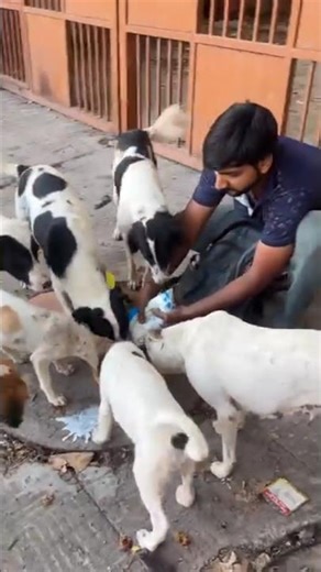 💪❤️helping man ❤️💪 motivation# #doglove#shortvideo #shortfeed #doglove #short