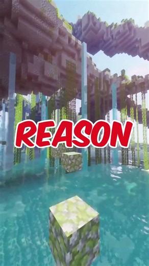 Minecraft Server Closed For THIS Reason 👀 #minecraft #shorts