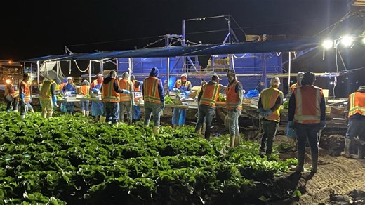 Celebrating the 30th anniversary of the Day of the Farm Worker