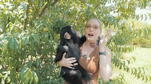 20K views · 1.4K reactions | BABY CHIMPANZEE GARDENING MORE ON YOUTUBE https://www.youtube.com/c/MokshaBybee | Myrtle Beach Safari Wild Encounters Tour | Facebook