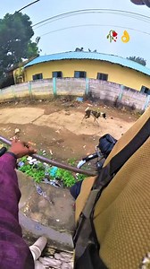 Dog catcher team Janata ka pyar 🥀👌 | Karan Nath
