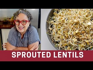 How to Sprout Lentils with NO Jar | The Frugal Chef