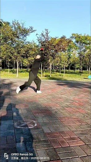 Loud cracking chain whip! Classic Shaolin Kung Fu at Songshan#chainwhip #challenge