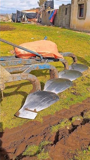 Amazing Farming Process | Smart Agriculture Life #farming #shorts #harvest #new #trending