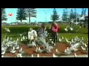 ★ Scary Clips #3 - America's Funniest Home Videos part 271