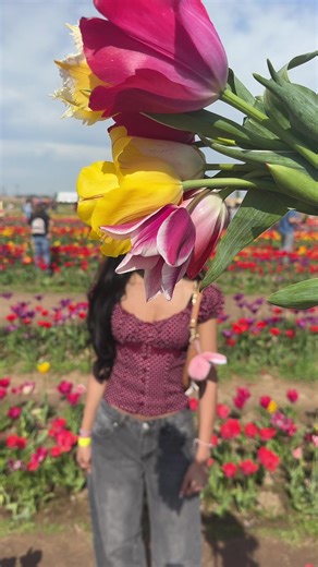 so cute #tulipseason | tulip picking