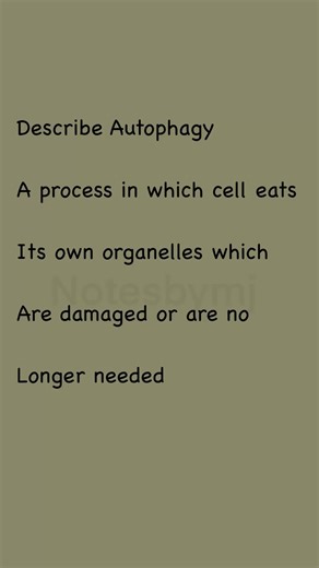 How bacteria clone themselves in minutes! 🧫👯‍♂️| Binary Fission Explained | How Bacteria Reproduce . . . . . No partner? No problem. 🧬 See how prokaryotes split to multiply through Binary Fission. Simple definition and steps included! . . . . . #microbiologywes #binaryfission #reproduction . . . . . Asexual reproduction, Prokaryotes, Cell division, Microbiology basics, Binary fission definition.