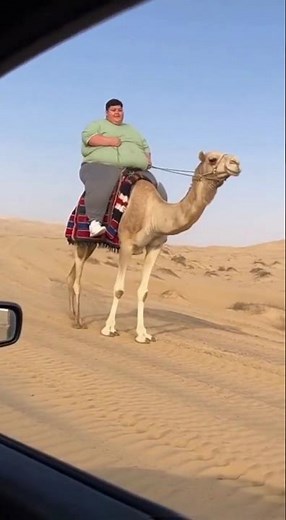 Camel Stumbles in Sand and Rider Falls Off – Funny Desert Moment!