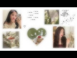 . . small forehead subliminal bundle.