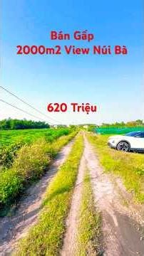 Ngộp Cần Bán Gấp 2000m2 Đất Gần Khu Công Nghiệp Chà Là View Núi Bà