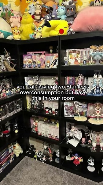 overconsumption at its finest #collection #overconsumption #consumerism #collectables #