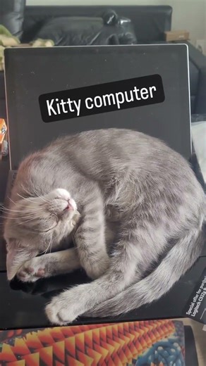 little kitty computer 🖥️💻 🐈