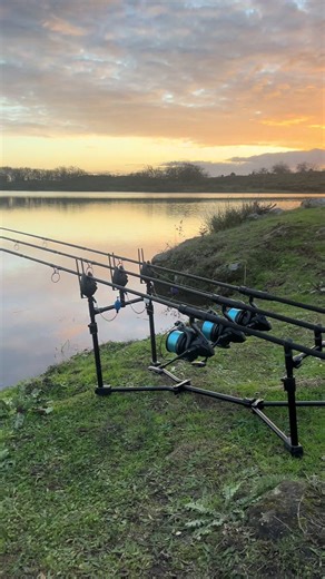 Ultimate Guide to Carp Fishing Techniques