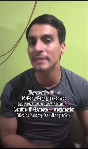 Delicious Dairy Delights: Cattle, Cheese, and Milk