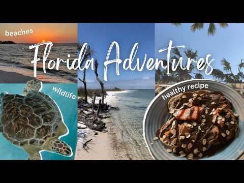 Florida Travel Vlog | sea turtle, Irish restaurant, beautiful beaches