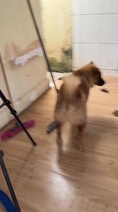 702K views · 5K reactions | Vous n'en souffrirez plus jamais (c'est ce que j'ai appris aujourd'hui). #revues #femmeaufoyer #tutorial #revuesfaciles #tutorials #vidéoviralreels #revuesmaison | Conseils de Rob | Facebook