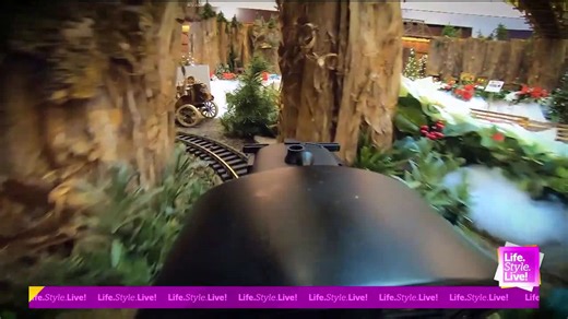 12-17-25-Barney Wood 4PM