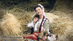 170K views · 7.4K reactions | Steliana Sima ~ Am crescut pe lângă mine (Official Video) "Dacă luam seama bine şi la om, dar şi la câine, câinele are suflet mare, omul câteodată n-are/câinele în suferință te păzeşte cu credință, tu îl bați şi-l izgoneşti în loc să îl răsplăteşti" ❤ #DISTRIBUIȚI_VĂ_ROG❗ | Fan Steliana Sima | Facebook