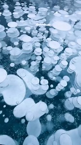 Beneath the icy surface 🫧 a glimpse into the fascinating world of Abraham Lake’s frozen bubbles. These bubbles form when organic matter, such as dead plants and animals, decays at the bottom of the lake. As the organic matter decomposes, methane gas is produced and rises to the surface. During the winter, when the lake freezes, the methane gas becomes trapped within the ice, creating beautiful bubble formations suspended in the clear blue ice. 🎥 @herry.with.an.e 📍 Abraham Lake in Alberta, Can