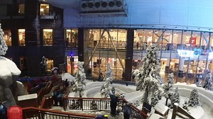 Travel Best Buddy on Reels | Facebook