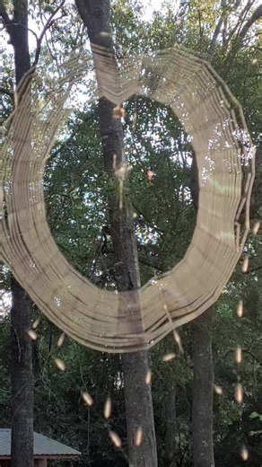 Ray Willner (@crazeeray)’s videos with original sound - Ray Willner