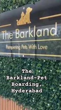 Awesome Pet Boarding, Hyderabad #trending #pets #petboarding
