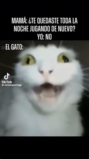 doble kill triple kill🗣️🔥💜 #humor #parati #like #dale #xd