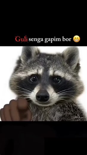 📆📌_𝐋𝐲𝐫1𝐤𝐚s 🪄🔖💭 on Instagram: "Сторис..))❤️🫠 Yangisi… 日本利用压电瓷砖将脚步转化为电能。这些瓷砖捕捉来自你脚步的动能。当你行走时，你的重量和动作会对瓷砖产生压力。瓷砖会轻微弯曲，从而产生机械应力。瓷砖内部的压电材料将这种应力转化为电能。每一步都会产生少量电荷，而数百万步结合在一起就能产生足够的电力来驱动 LED 灯、数字显示屏和传感器。在像涩谷车站这样繁忙的地方，每天大约有 240 万个脚步为这一系统作出贡献。这些电能可以被储存或立即使用，从而减少对传统电力来源的依赖，并支持可持续的城市基础设施。这种方法将日常运动转化为实用的可再生能源 #日本 #知识 #事实 #你知道吗 #推荐"