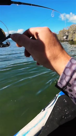 Mikeey on Instagram: "If you love fishing, you’ll fit in here 🤙 Plenty more coming 🎣 #aussiefishing #fishinglife #fishingaustralia #landbasedfishing #boatfishing"