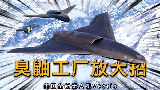 臭鼬工厂放大招！美国全新隐身无人机Vectis亮相