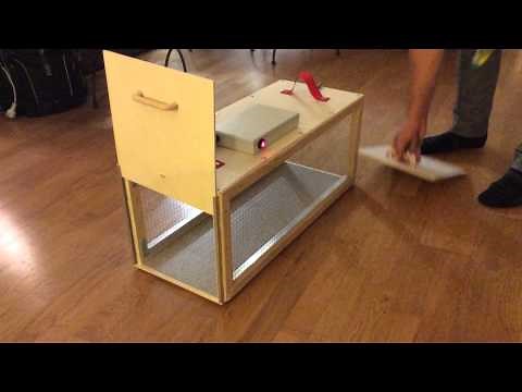 Cage Piège Electronique - capture de chats errants