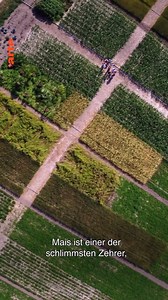 🥑 Unsere Ernährungsweise hier in Europa belastet das Klima. Lässt sich daran etwas ändern? Wie groß ist die CO2-Last tatsächlich? Wie viel Land wird benötigt, um unser Essen anzubauen? Drei Familien wagen den Selbstversuch und stellen ihre Gewohnheiten radikal in Frage ➡https://arte.app.link/anders-essen | ARTE Info