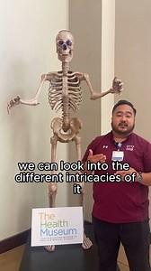 Sign up NOW for our Doc Dissections and learn how to dissect a heart! Limited slots available. Visit our website's events page for more information. #healthmuseum #eventsinhouston #thingstodoinhouston #dissection #stem #science | The Health Museum | Facebook