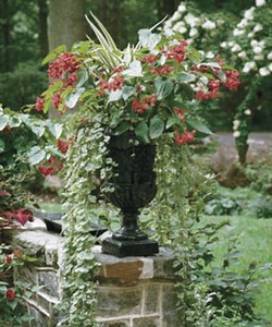 Container Gardening 101