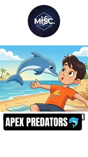 The Truth About "Friendly" Dolphins #dolphin #oceanlife #sciencefacts #marinelife