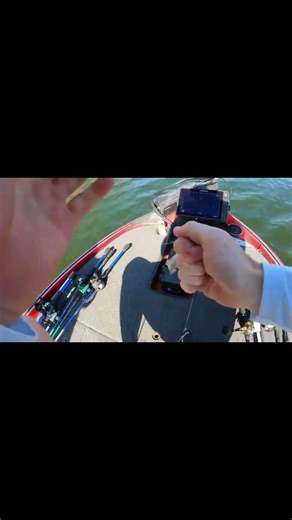 when the girlfriends in the boat got to catch a big bass. #bassfishing #bass #fishing