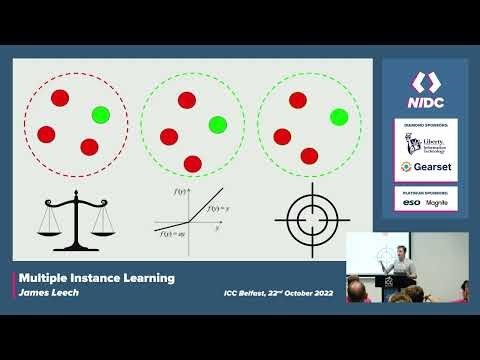 Lightning Talk: Multiple Instance Learning - James Leech - NIDC22