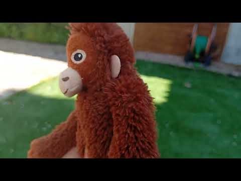 Cody Shorts : The Magical Tree (poop post) 