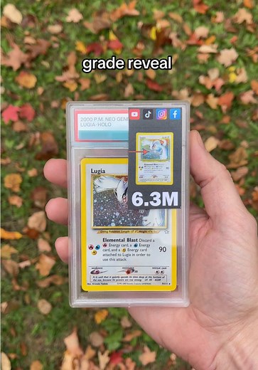 Lugia Grade Reveal! It’s back from PSA 🔥 #pokemon #pokemontcg #pokemoncommunity