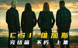 CSI原班人马回归，15年的青春就此落幕，大家携手抓捕炸弹狂魔