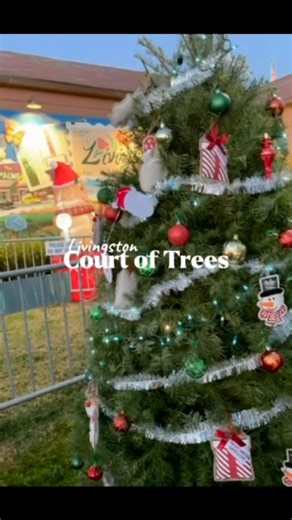 Set up a beautiful tree in our Livingston Court of Trees! More information found at link. https://livrec.recdesk.com/Community/Home | Livingston Recreation