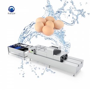[Hot Item] High Quality Chicken Egg Cleaning Cleaner Machine Eggs Washing Washer Machine